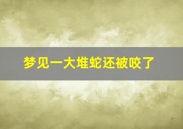 梦见一大堆蛇还被咬了