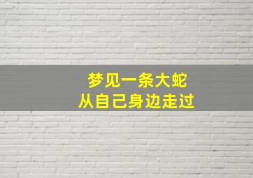 梦见一条大蛇从自己身边走过