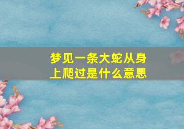 梦见一条大蛇从身上爬过是什么意思