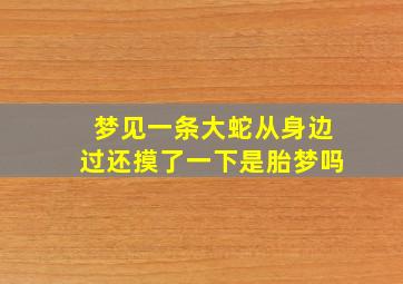 梦见一条大蛇从身边过还摸了一下是胎梦吗