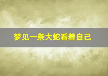 梦见一条大蛇看着自己