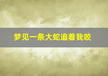 梦见一条大蛇追着我咬