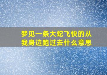 梦见一条大蛇飞快的从我身边跑过去什么意思