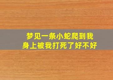 梦见一条小蛇爬到我身上被我打死了好不好