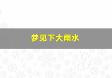 梦见下大雨水