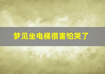 梦见坐电梯很害怕哭了