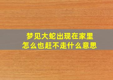 梦见大蛇出现在家里怎么也赶不走什么意思