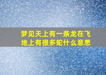 梦见天上有一条龙在飞地上有很多蛇什么意思