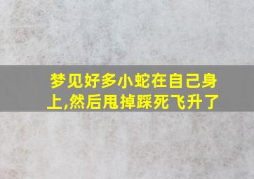 梦见好多小蛇在自己身上,然后甩掉踩死飞升了