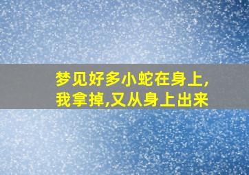 梦见好多小蛇在身上,我拿掉,又从身上出来