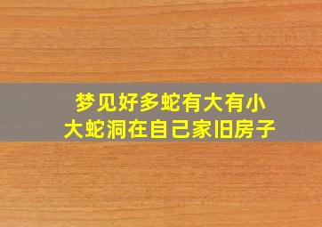 梦见好多蛇有大有小大蛇洞在自己家旧房子