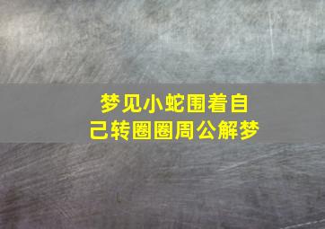 梦见小蛇围着自己转圈圈周公解梦