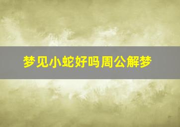 梦见小蛇好吗周公解梦