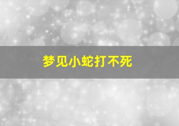 梦见小蛇打不死