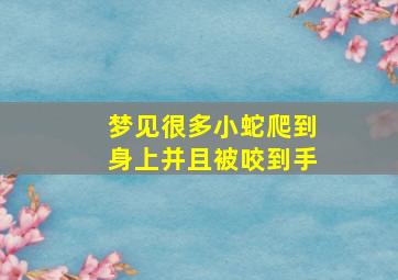 梦见很多小蛇爬到身上并且被咬到手