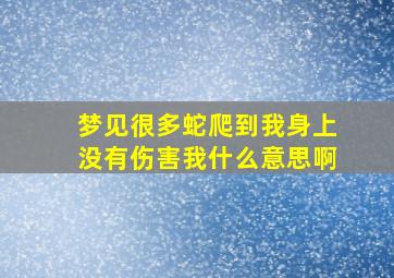 梦见很多蛇爬到我身上没有伤害我什么意思啊