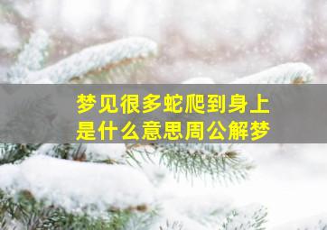 梦见很多蛇爬到身上是什么意思周公解梦