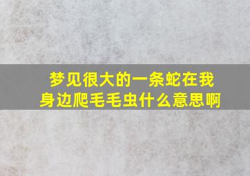 梦见很大的一条蛇在我身边爬毛毛虫什么意思啊