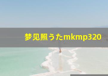 梦见照うたmkmp320