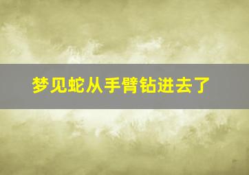 梦见蛇从手臂钻进去了