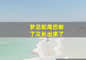 梦见蛇尾巴断了又长出来了