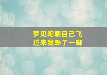 梦见蛇朝自己飞过来我踢了一脚