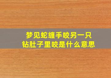 梦见蛇缠手咬另一只钻肚子里咬是什么意思