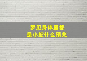 梦见身体里都是小蛇什么预兆