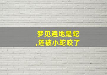 梦见遍地是蛇,还被小蛇咬了