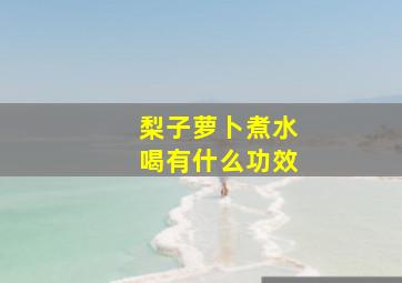 梨子萝卜煮水喝有什么功效