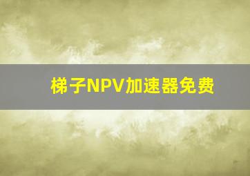 梯子NPV加速器免费