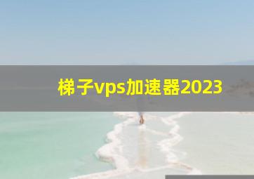 梯子vps加速器2023