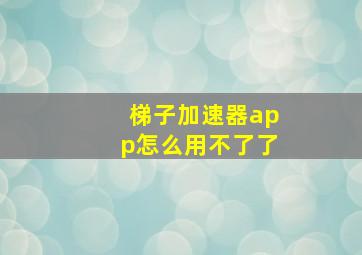 梯子加速器app怎么用不了了