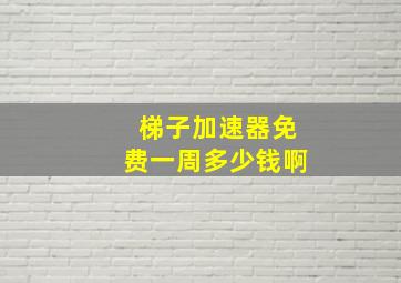 梯子加速器免费一周多少钱啊