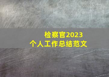 检察官2023个人工作总结范文