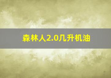 森林人2.0几升机油