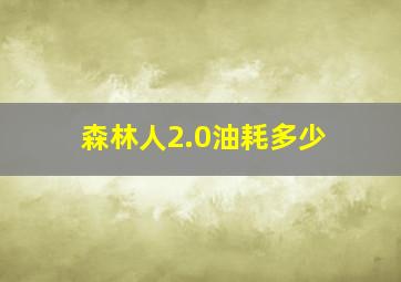 森林人2.0油耗多少