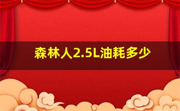 森林人2.5L油耗多少