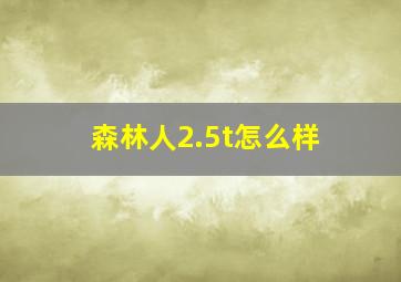 森林人2.5t怎么样