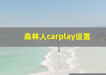 森林人carplay设置