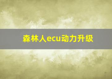 森林人ecu动力升级