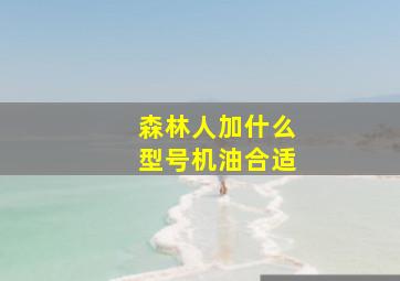 森林人加什么型号机油合适