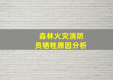 森林火灾消防员牺牲原因分析