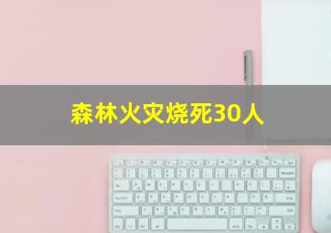 森林火灾烧死30人