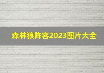 森林狼阵容2023图片大全