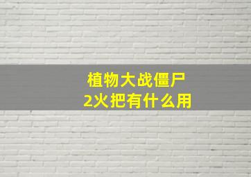 植物大战僵尸2火把有什么用