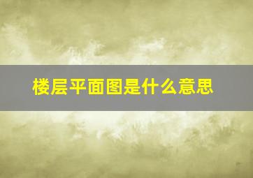 楼层平面图是什么意思