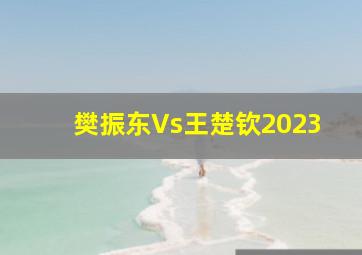 樊振东Vs王楚钦2023