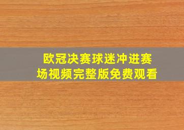 欧冠决赛球迷冲进赛场视频完整版免费观看