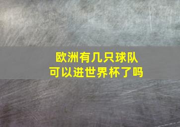 欧洲有几只球队可以进世界杯了吗